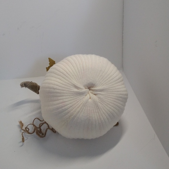 Halloween Pumpkin decor for that fall themed table scape or decor. - Picture 5 of 8